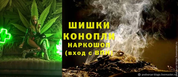 дурь Богородск